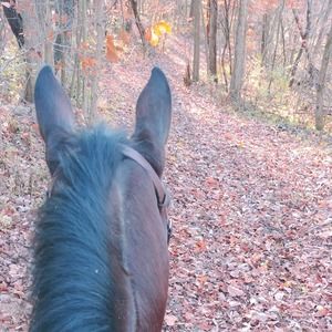 Meet your Posher, Ka